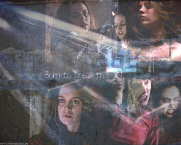 078.jpg