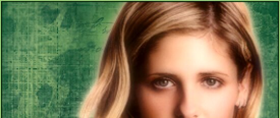 041.wsz